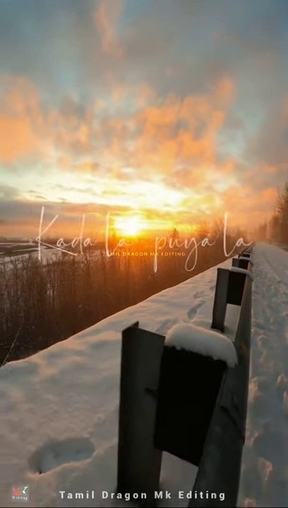 Morning Vibes -- Nature Lovers Forver -- Trending whatsapp status