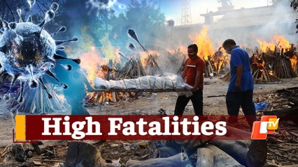 #COVID19 Deaths In Odisha Remain High | OTV News