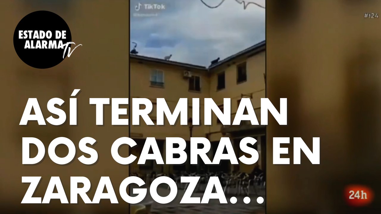 Así terminaron dos cabras en un pueblo de Zaragoza: “¡Sorpresa!”