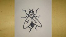 How to draw fly/insects