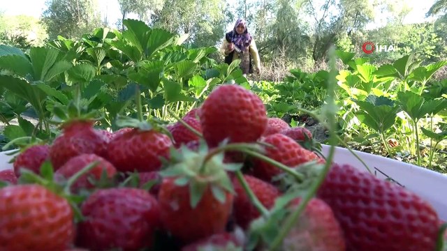 Televizyonda gördü dikti, şimdi telefonla sipariş alıyor