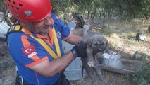 KUYUYA DÜŞEN YAVRU KÖPEĞİ AFAD EKİPLERİ KURTARDI