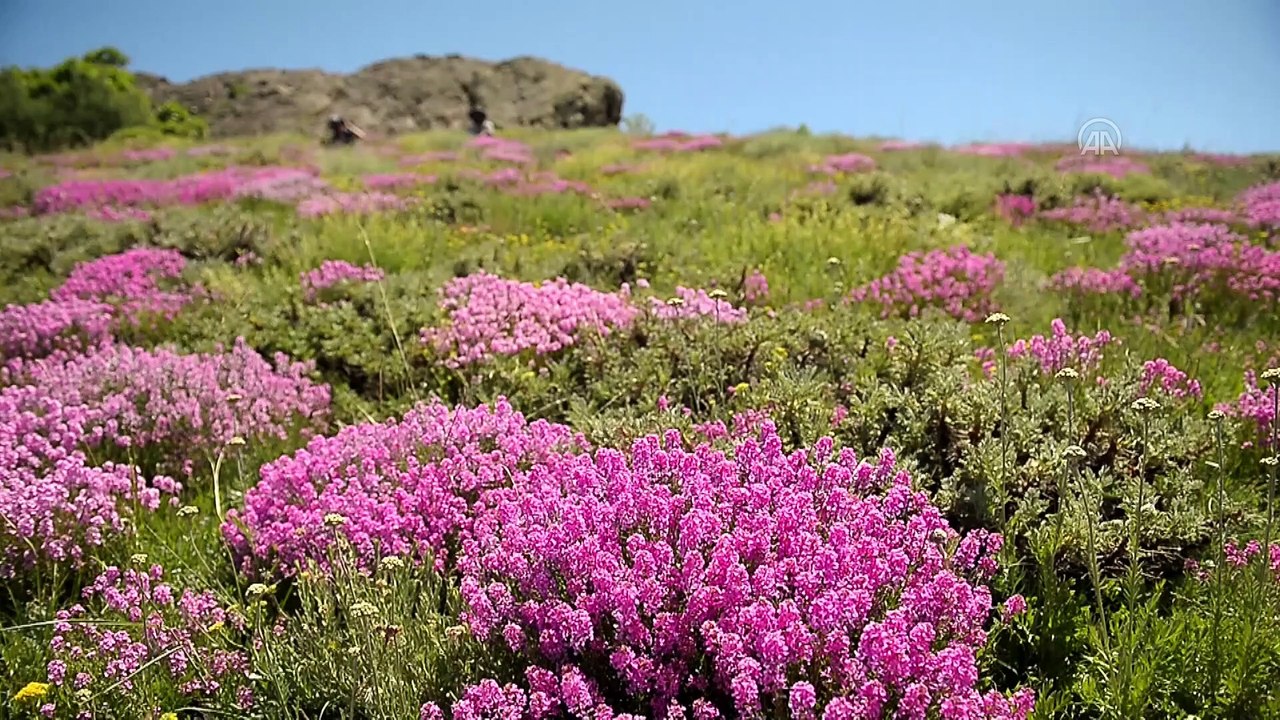 TUNCELİ - Kırklar Dağı manzarasıyla doğa ve fotoğraf tutkunlarını kendine çekiyor