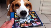 Funny Dog Plays Videogames : Grand Theft Auto 5 And Battlefield 1