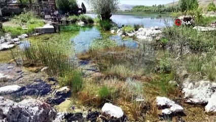 Büyük Menderes Nehri’nde kuraklık tehlikesi baş gösterdi