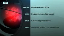 Programoversigt med baggrundsmusik * 29 December 2015 * TV SYD * TV2 Danmark
