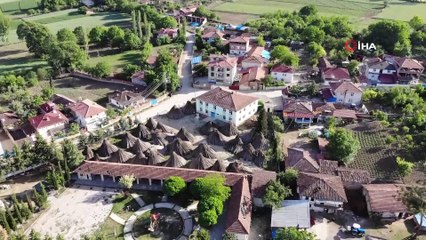 Türkiye'nin kenevir merkezinde ekim alanlarında düşüş yaşandı