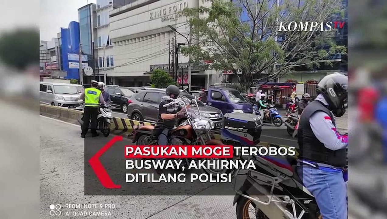 Pasukan Moge Terobos Busway, Akhirnya Ditilang Polisi