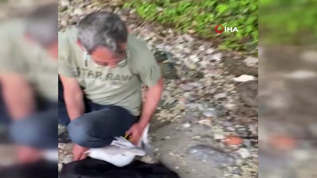 Ayaklarına balık kancası takılan iki martıyı kurtardı, ödülü martının ısırığı oldu