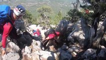 Kayıp Ukraynalı kadın dağcının cesedi böyle bulundu