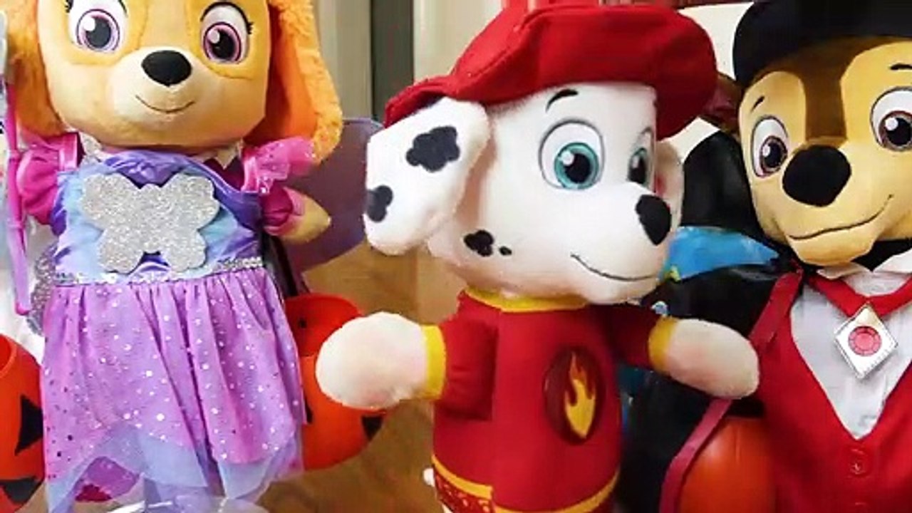 Paw Patrol Baby Pup Halloween Toy Learning Video For Kids!