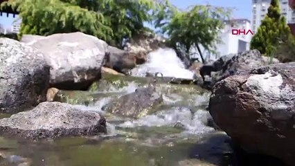 Nesli tehlike altındaki canlı İstanbul'da ortaya çıktı