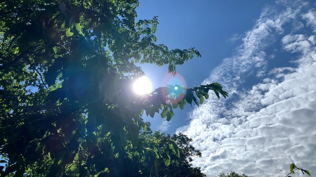 Météo: « un été plus chaud et sec que la normale »