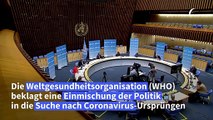 Suche nach Coronavirus-Ursprüngen: WHO beklagt Einmischung der Politik