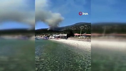Muğla'da orman yangını