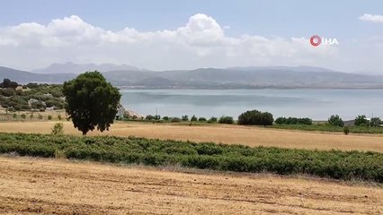 Yağını geleneksel yöntemlerle çıkartıp gramını 100 TL'den satıyor