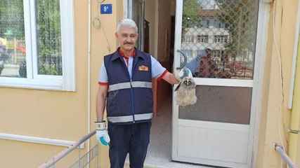 HAVALANDIRMA BOŞLUĞUNA DÜŞEN BAYKUŞU İTFAİYE KURTARDI