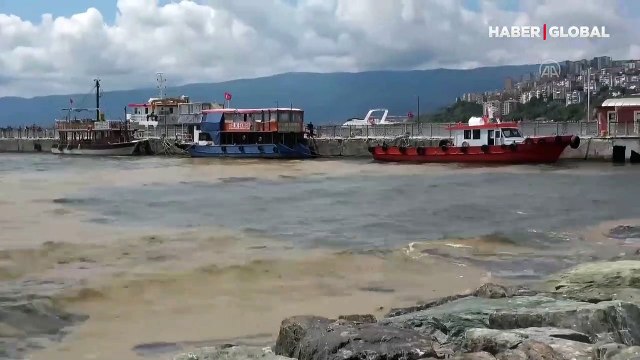 Gemlik Körfezi'nde deniz salyası kıyıda yoğunlaştı