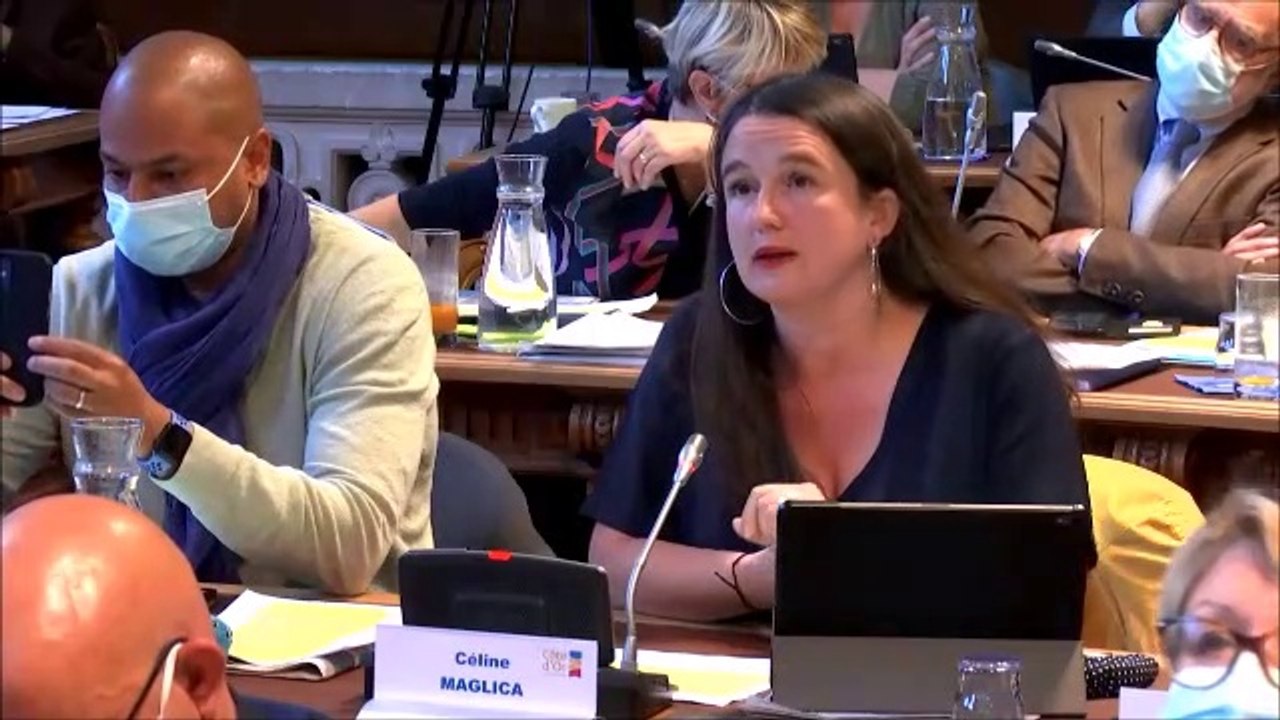 Céline MAGLICA - Ressources humaines. Mesures diverses. Session du 31 mai 2021