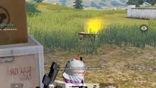Knives Out