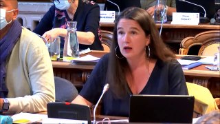 Céline MAGLICA. Schéma départemental des services aux familles 2021-2025. Session du 31 mai 2021