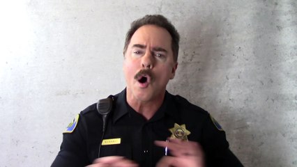 Angry Cop 8 | Spray foam disaster | The Cat Part 2