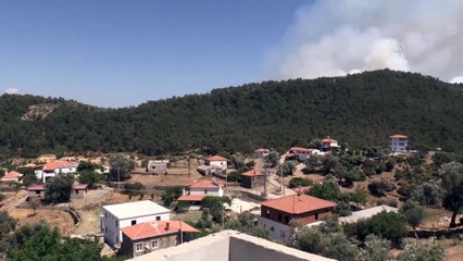 MUĞLA - Milas'ta ormanlık alandaki yangına müdahale ediliyor (3)