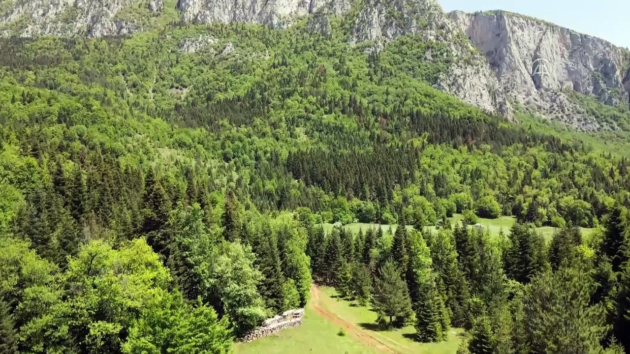 KASTAMONU - Küre Dağları yeşilin farklı tonlarıyla görsel şölen sunuyor