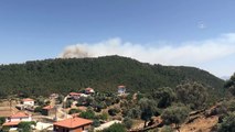 MUĞLA - Milas'ta ormanlık alandaki yangına müdahale ediliyor (3)