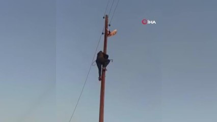 Direkte mahsur kalan kedinin cesaretlendiği dakikalar yüzleri güldürdü