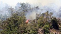 MUĞLA - Milas'ta ormanlık alandaki yangına müdahale ediliyor (2)