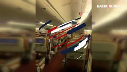Uçuş sırasında ortaya çıkan yarasa panik yarattı
