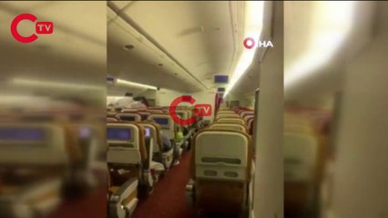 Yolcu uçağında yarasa paniği