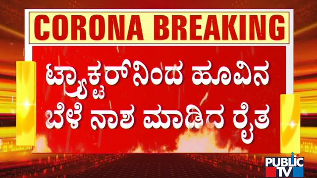 Farmer Destroys Marigold and Sugandaraja Crops Grown In 2 Acres In Koppal