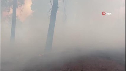 Son dakika haber... Pozantı'da orman yangını
