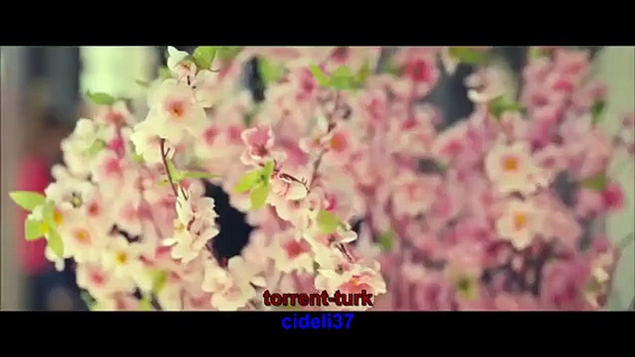 1 الفيلم التركي من أكثر سعادة  مترجم القسم