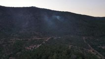 Milas'ta ormanlık alandaki yangın kontrol altına alındı