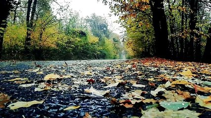 Rain and thunder soothing sound for study,sleep or meditate