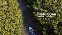 cinematography with drone.  kayak adventure