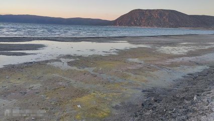 Son dakika... Salda Gölü'ndeki değişimin nedeni mevsimsel polenler