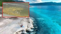 Çevre ve Şehircilik Bakanlığı, Salda Gölü kıyısındaki renk değişikliğine ilişkin çıkan iddiaları yalanladı