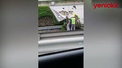 CHP'li İBB çevre katliamı yapıyor! Zeytinburnu'nda dikey bahçeler söküldü