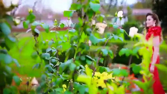 Zef Beka - Vida Kunora Djal Tropoje -