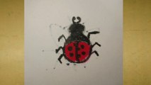 How to draw cartoon lady bug
