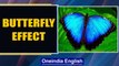 Butterflies in Costa Rica: Caterpillar Cultivation for the World’s Gardens | Oneindia News