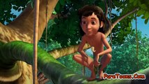 Mowgli New Episode 2021 |  The Jungle Book S01 | Hindi s Urdu | The Race |