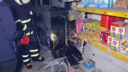 Petshop mağazasında yangın çıktı, hayvanlar telef olmaktan son anda kurtarıldı