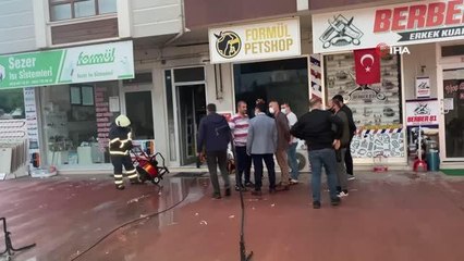 Petshop mağazasında yangın çıktı, hayvanlar telef olmaktan son anda kurtarıldı