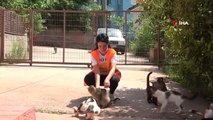 Hayvansever kadın, sokakta bulduğu engelli hayvanlara annelik yapıyor