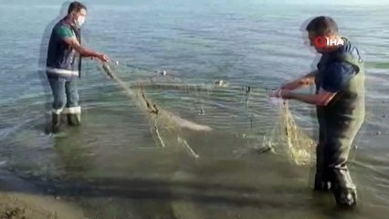 Van Gölü'nde 1.2 ton inci kefali ele geçirildi